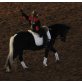 Black Jack, Deutsches Reitpony - Wallach