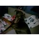 Blade, Dobermann - Rüde