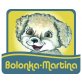 Bolonka Zwetna Welpen - Rüde