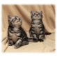 Bond und Banderos, Britisch Kurzhaarkatze - Kater