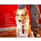 Bonny, Bonsai-Golden-Retriever - Hündin
