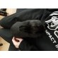 Bonny und Clyde, Zwergkaninchen