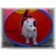 Border-Collie Welpen - Hündin