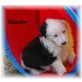 Border-Collie Welpen - Hündin