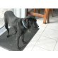 Brian, Labbi Mix (Familienhund) - Rüde