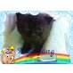 Britenbabys mit Stammb. aus österr. Zucht, Britisch Kurzhaarkatze - Katze