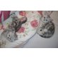 Britisch Kurzhaarkatze - Kater