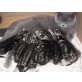 Britisch Kurzhaarkatze - Kater