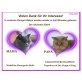 Britisch Kurzhaarkatze - Kater