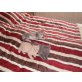Britisch Kurzhaarkatze - Kater