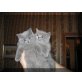 Britisch Kurzhaarkatze - Katze