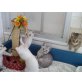 Britisch Kurzhaarkatze - Katze