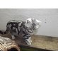 Britisch Kurzhaarkatze - Katze