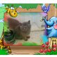Britisch Kurzhaarkatze - Katze