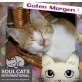CARLA, Tierschutz - Katze