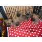 Cairn-Terrier - Rüde