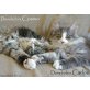 Carlos und Cosmo, Norwegische Waldkatze - Kater