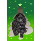 Carmen Suche ein schönes neues Zuhause, Englischer Cockerspaniel - Hündin