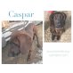 Caspar, Mishcling Welpen - Rüde
