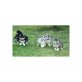 Charmante Siberian Husky Welpen, Siberian Husky - Hündin