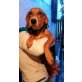Chica, Beaglemischling - Hündin