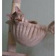 Chicanno, Bengalkatze - Kater