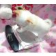 Chihuahua kurzhaariger Schlag - Hündin