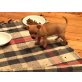 Chihuahua kurzhaariger Schlag Welpen - Hündin
