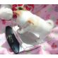 Chihuahua kurzhaariger Schlag Welpen - Hündin
