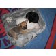 Chihuahua kurzhaariger Schlag Welpen - Hündin
