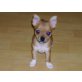 Chihuahua kurzhaariger Schlag Welpen - Rüde