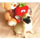 Chihuahua kurzhaariger Schlag Welpen - Rüde