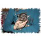 Chihuahua langhaariger Schlag - Rüde