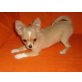 Chihuahua langhaariger Schlag Welpen - Hündin