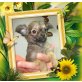 Chihuahua langhaariger Schlag Welpen - Hündin