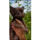 Chihuahua langhaariger Schlag Welpen - Hündin