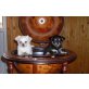 Chihuahua langhaariger Schlag Welpen - Rüde