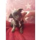 Chihuahua langhaariger Schlag Welpen - Rüde