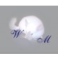 Chinchilla-Shop