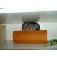 Chinchillas aus langjähriger Zucht, Langschwanzchinchilla - männlich