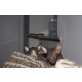 Cider Quarter´s Bentley & Baily, Sphynx - Katze