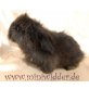 Cinderella, Teddywidder - weiblich