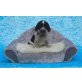 Cookie, Englischer Cockerspaniel Welpen - Rüde