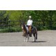 Cora, Ponymix - Stute