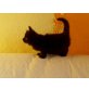 Cornelius av Sunnygold, Norwegische Waldkatze - Kater