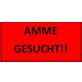 DRINGEND AMME GESUCHT! - Katze