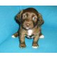 Dackel + Cocker/Labrador Welpen - Hündin