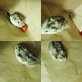 Daisy, Russenhamster - weiblich