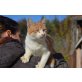 Dareček  kleiner Kater, Dareček  kleiner Kater - Kater