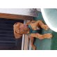 Daryl, Bordeauxdogge - Rüde